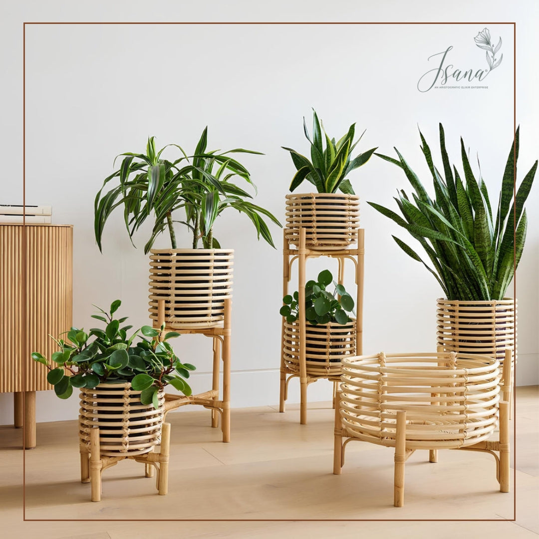 Planters