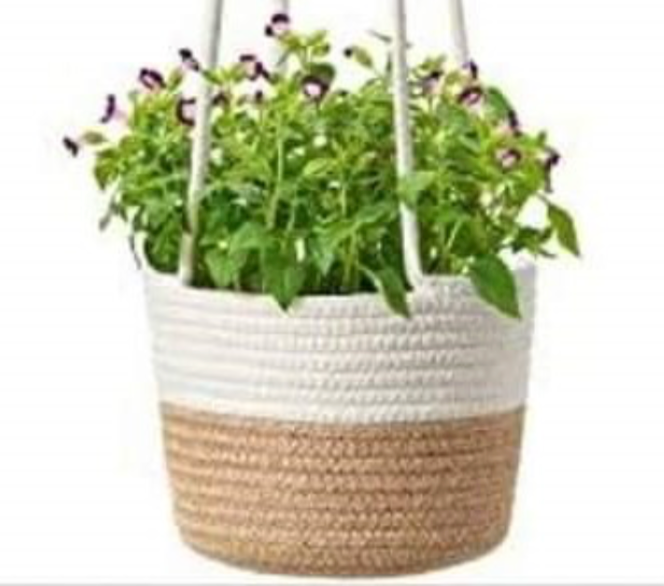 Dori Cotton Planter