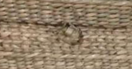 Tara Kauna Storage Box