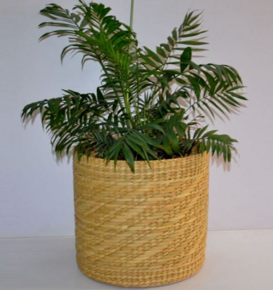 Sanlei Kauna Grass Planter