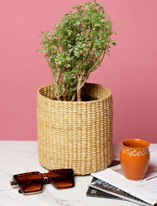 Sanlei Kauna Grass Planter