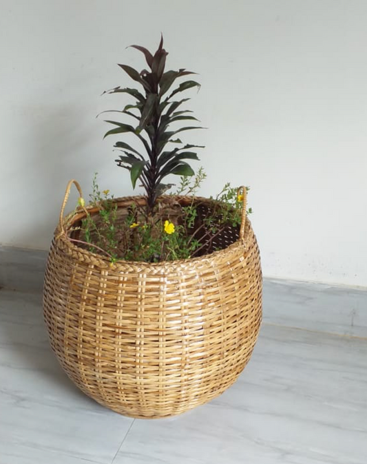 Cane Planter with Handle