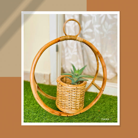 Decorative Hanging cane Planter