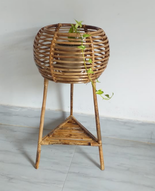 Cane Planter with Stand