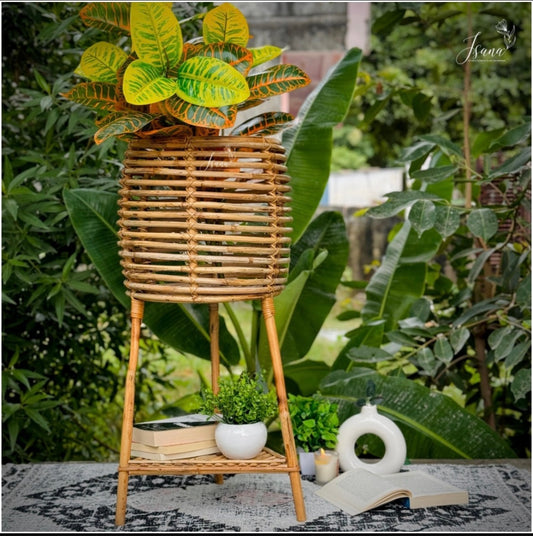 Cane Planter with Stand