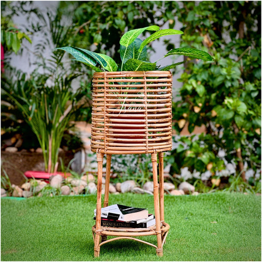 Cane Planter with Stand