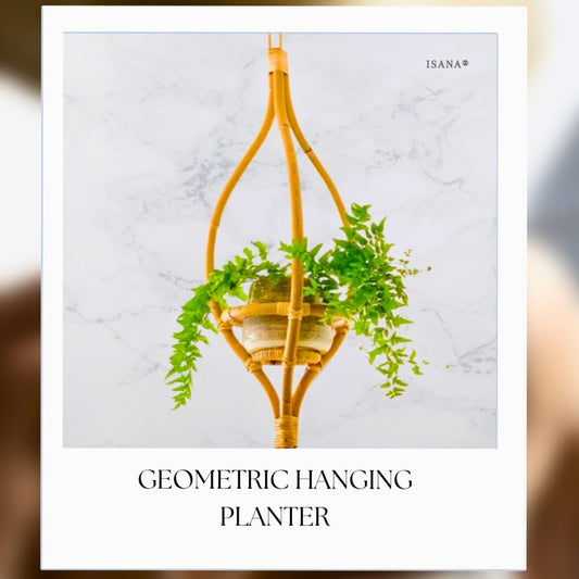 Geometric cane Planter