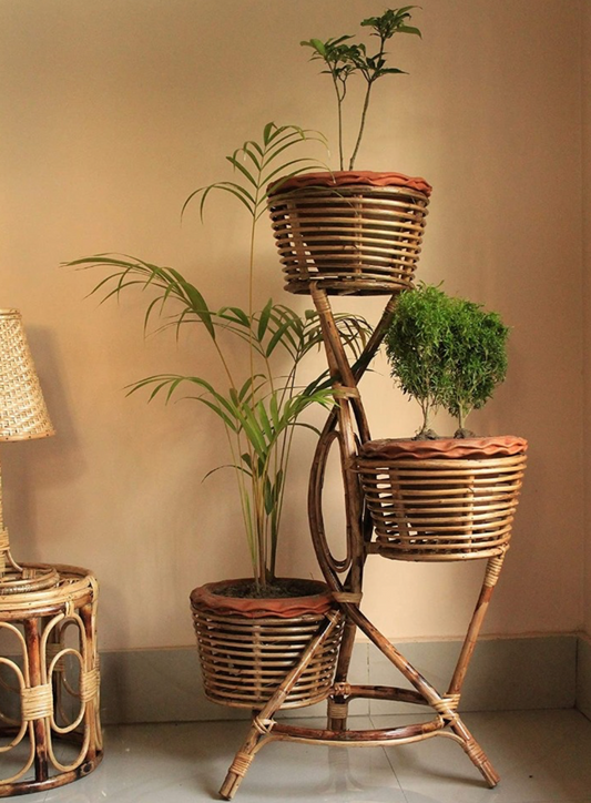 Cane Planter with Stand - 3 in one