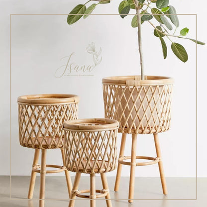 Cane Planter with Stand