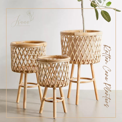 Cane Planter with Stand