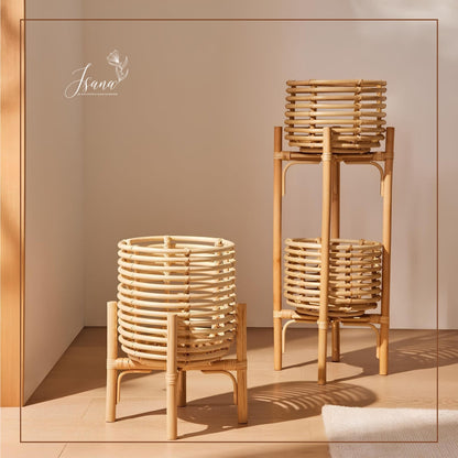 Cane Planter with Stand