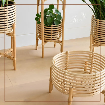 Cane Planter with Stand