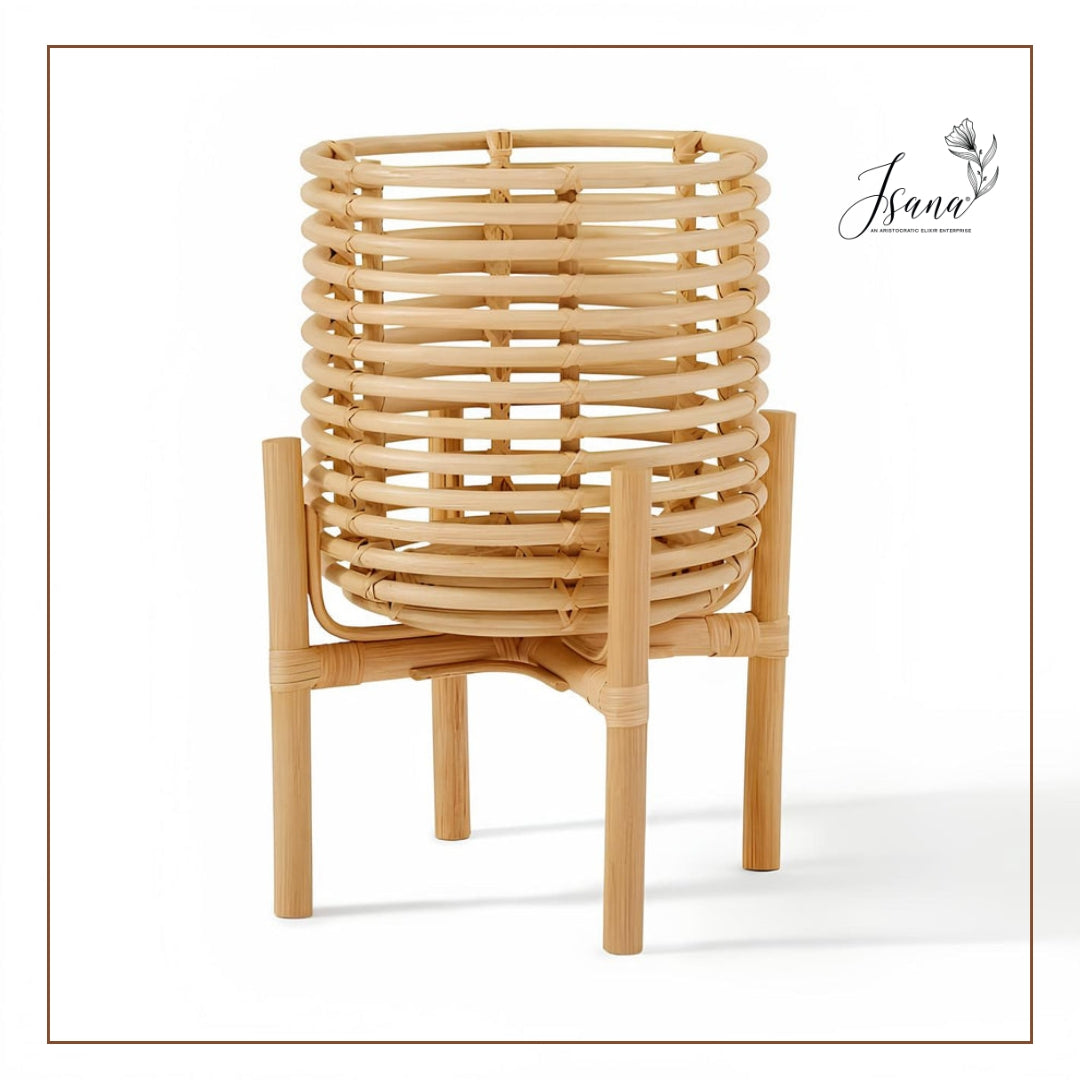 Cane Planter with Stand