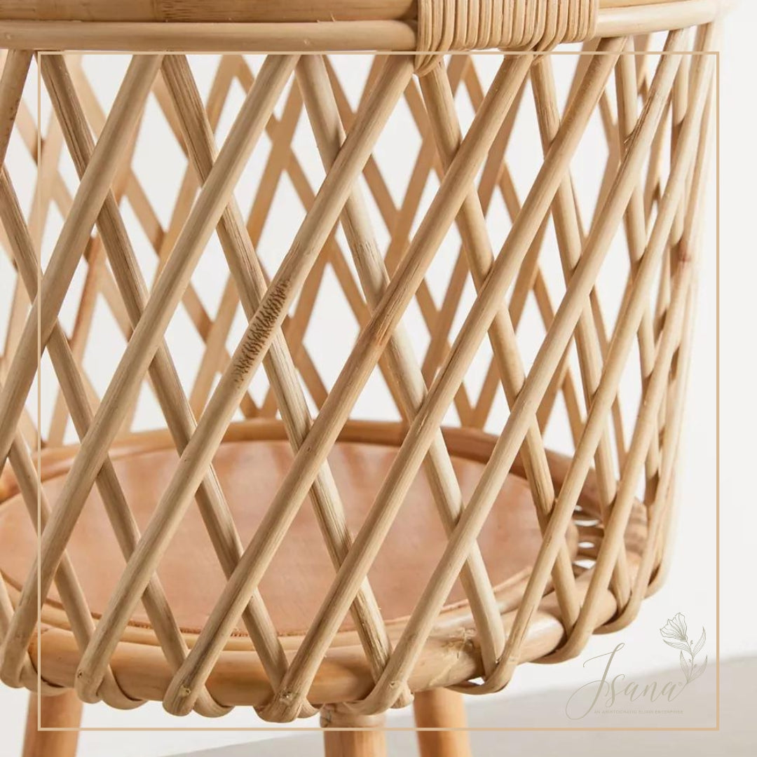 Cane Planter with Stand