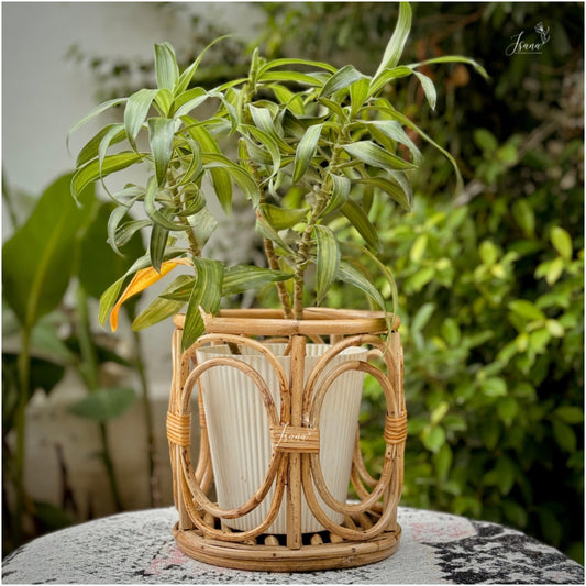Decorative cane Planter