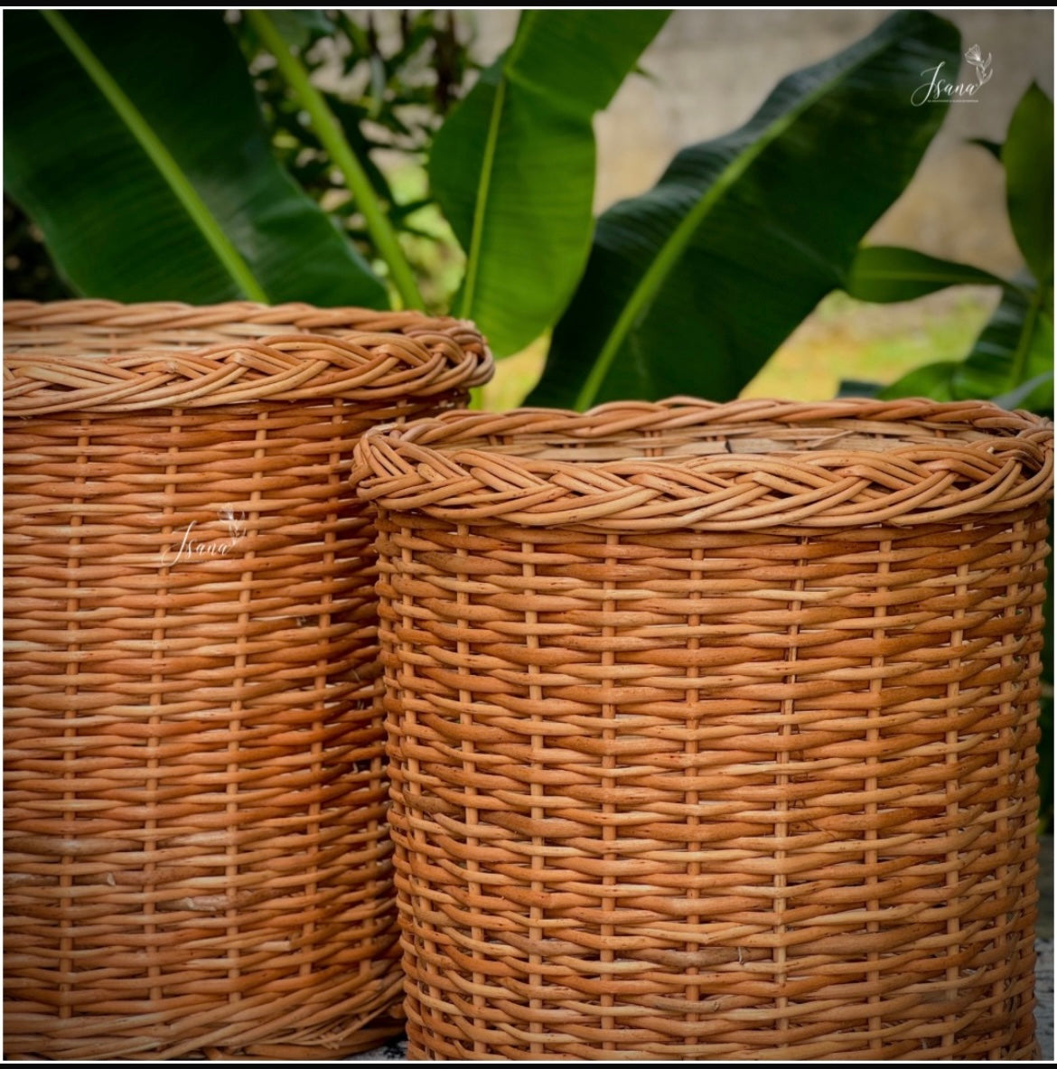 Willow planter - Set of 3