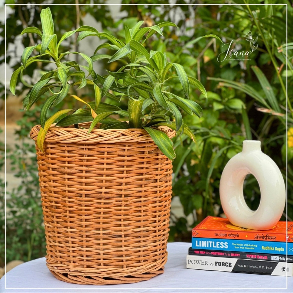 Willow planter - Set of 3