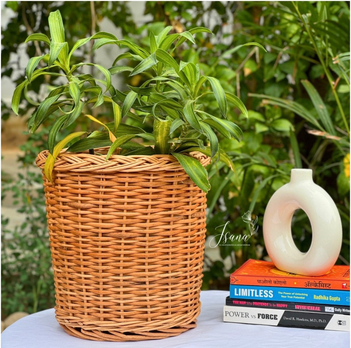 Willow planter - Set of 3