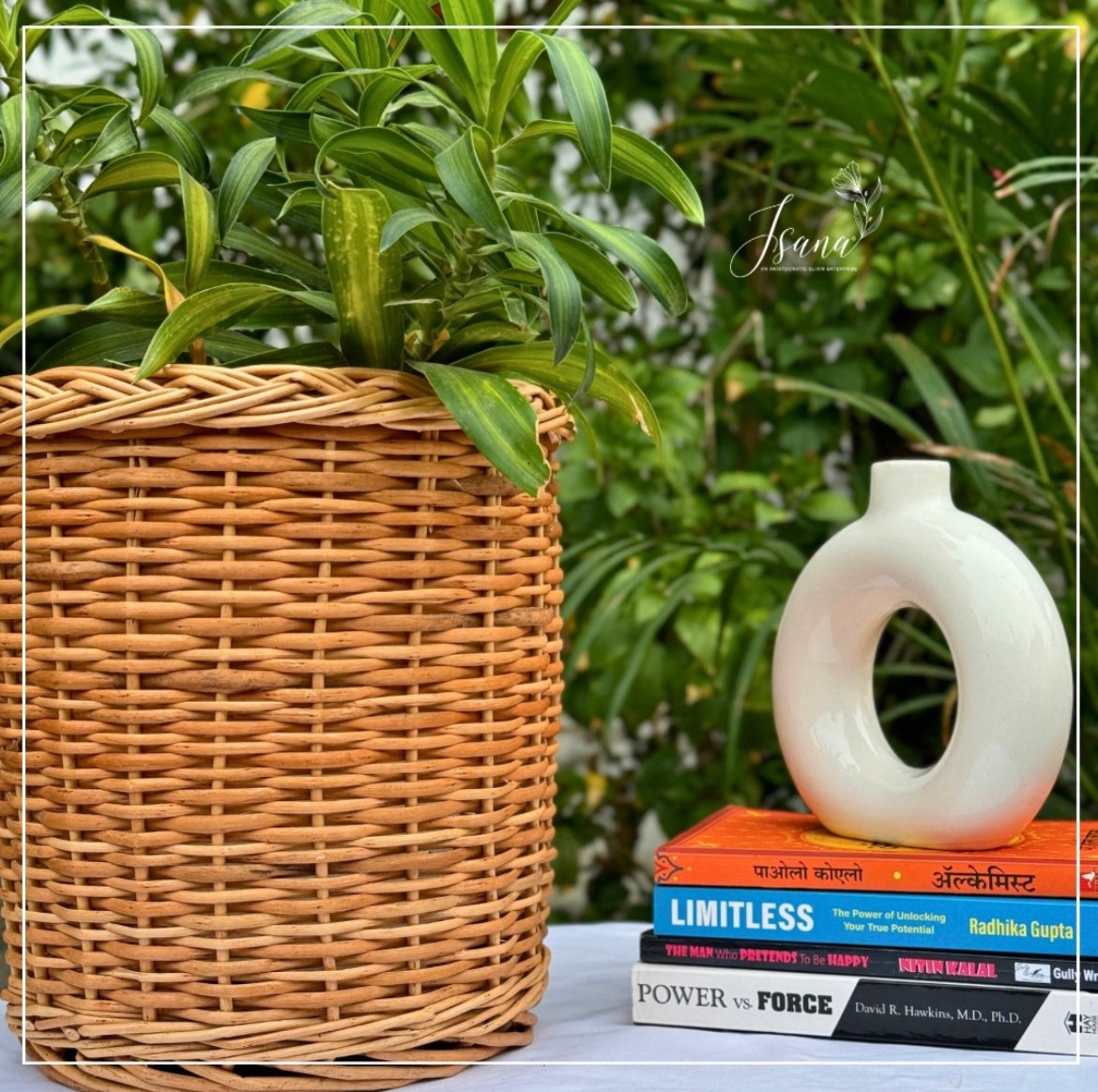 Willow planter - Set of 3