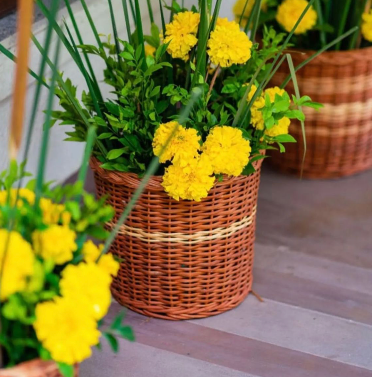 Willow planter - Set of 3